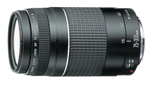 Canon - Lens (EF75-300mm) for All SLR Canon Cameras