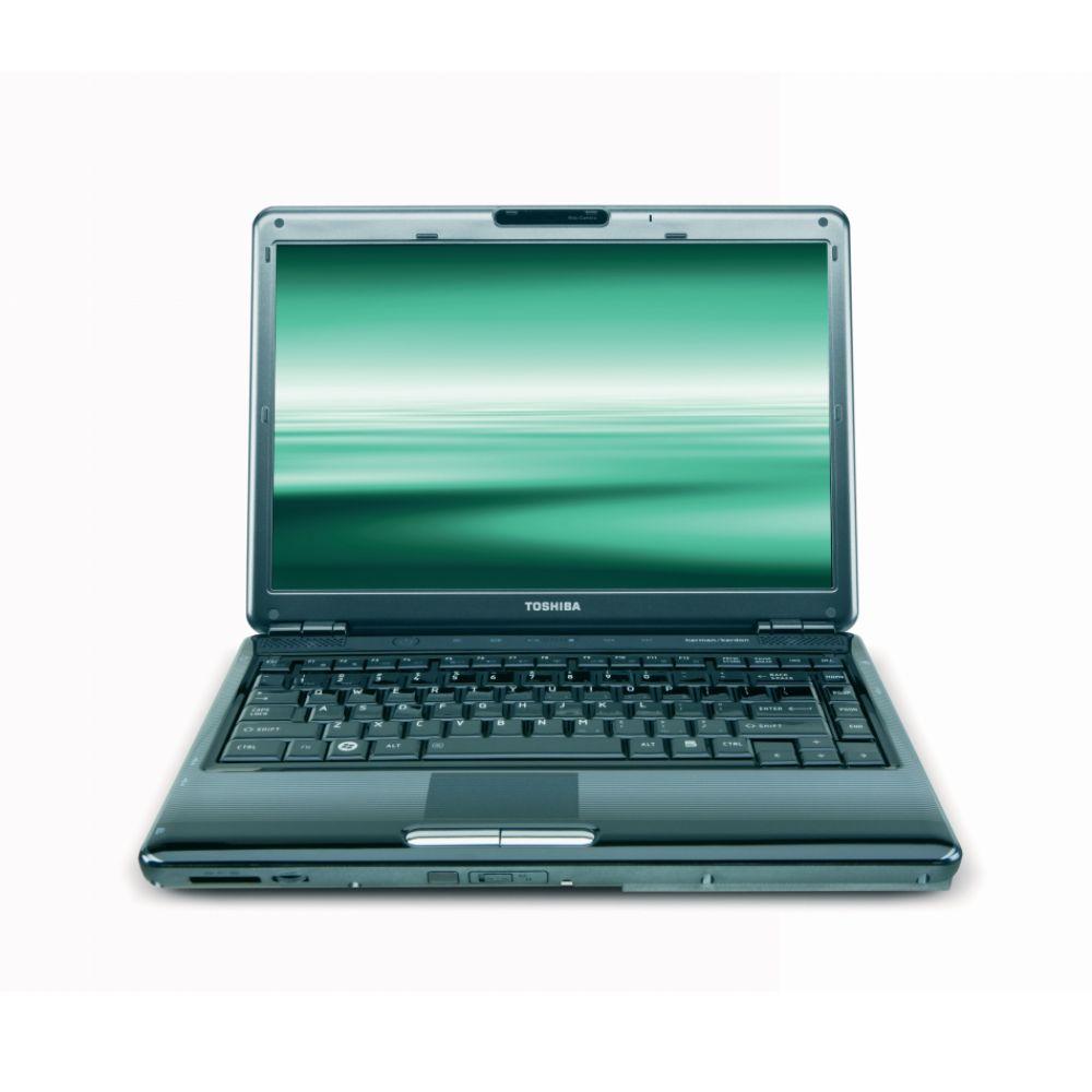 Toshiba Satellite M305-S4835 14 in Laptop