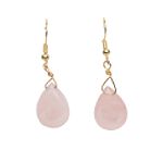 Apostrophe Fish Hook Tear Drop Earrings