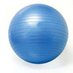 Long Train Enterprise BodyTrends Anti-Burst Fitness Ball - 65 cm