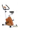Omega Triangular Upright Bike