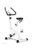 Omega Triangular Upright Bike