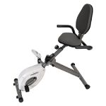 Stamina Products Stamina InTONE Folding Recumbent Bike