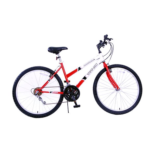 Titan Pathfinder Ladies Mountain Bicycle