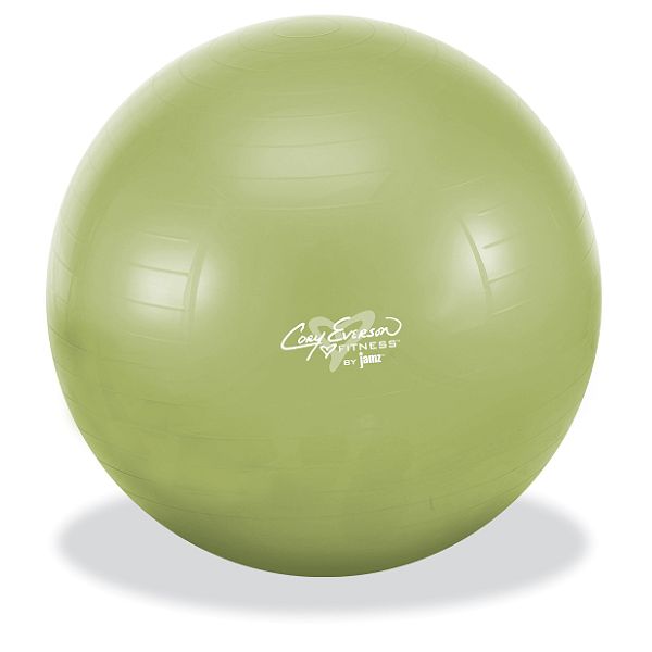Cory Everson Fitness 65cm Anti Burst Fitness Ball Set