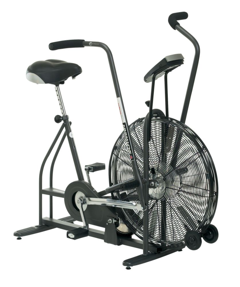 Schwinn Airdyne Exercise Bike