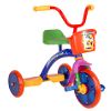 Shooting Star 10" Tricycle