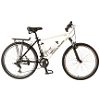 Perimeter Bicycle 20"