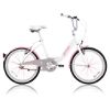 20 in. Bicycle CX-31