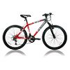 TURBO BICYCLE R-24 MODEL FS310
