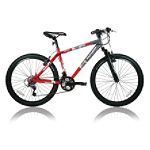 Turbo TURBO BICYCLE R-24 MODEL FS310