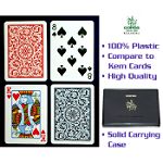 Copag Poker Size REGULAR Index - BlueRed Setup-2 Decks