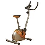 Marcy Upright Mag Bike