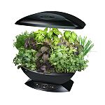 AeroGrow AeroGarden Kitchen Garden, Black by Aerogrow