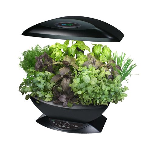 AeroGrow AeroGarden Kitchen Garden, Black 