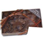 C. L. Biggs Dinosaur Cookie Cutters