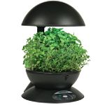 AeroGrow Black Aerogarden 3 w Herbs by Aerogrow