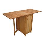 Catskill Fold-A-Way Cabinet by Catskill
