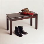 Winsome Linea Bench w/Chrome Accent - Painted / Stained