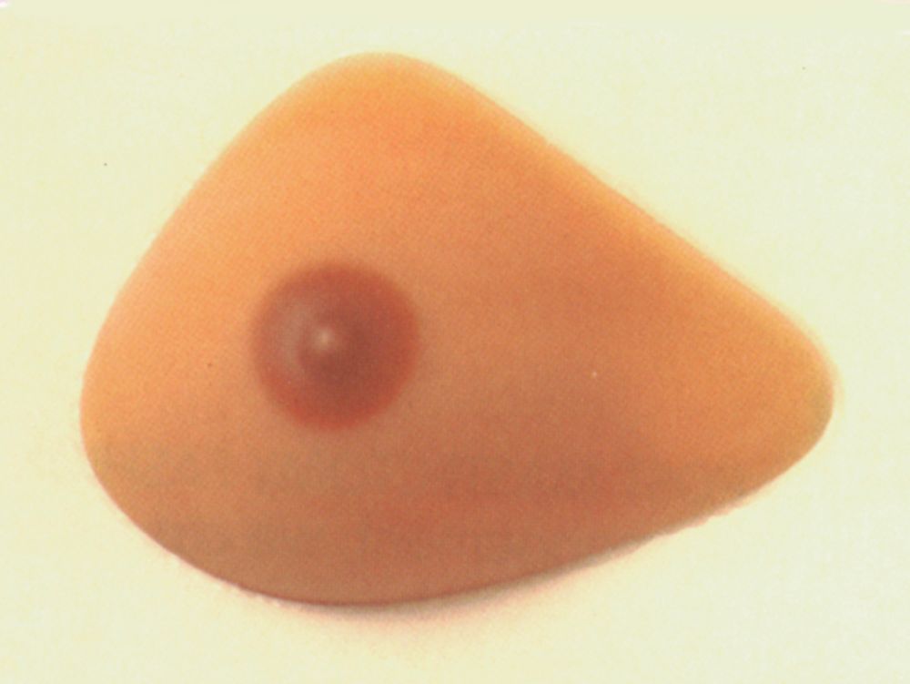 Nipple Prosthesis