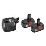 DieHard C3 19.2 volt Replacement Batteries (2 pk.) and Charger - 11377 by Ryobi Corporation