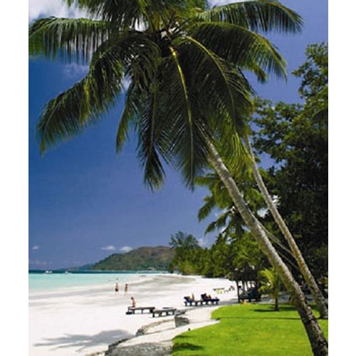 Easy Living EasyWall WallScapes - 11000053 Best Price
