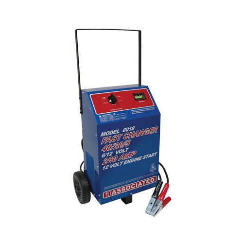 Associated 6 & 12-Volt Wheel Charger