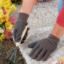 Work Gloves, Cotton Jersey