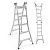 2-in-1 Ladder