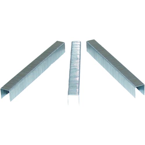 1/2 in. Staples - 44403C Best Price