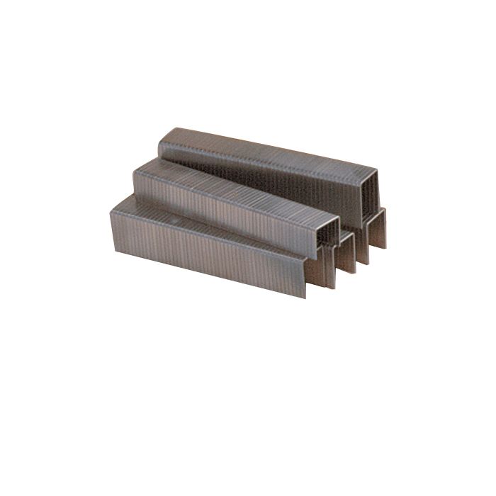 Craftsman 9/16 in. Staples, 1000 pk.