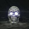 Color Change Foggy Skull