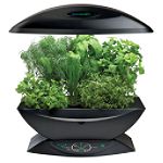 Aerogarden 6 Pod Garden 