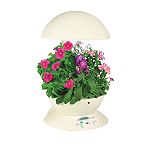 Aerogarden 3 Pod Garden 