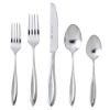 20-piece Long Leaf Brushed/Satin Finish Flatware Set