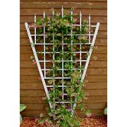 trellise trellise