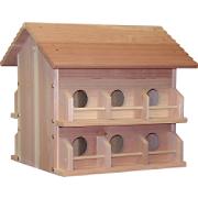 bird houses bird houses