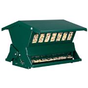 bird feeder bird feeder