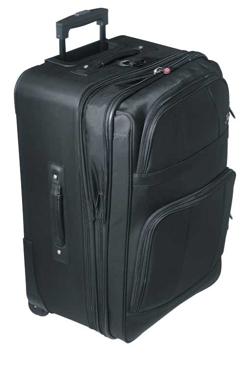 Skyway 29 in. Vertical Overseas Case
