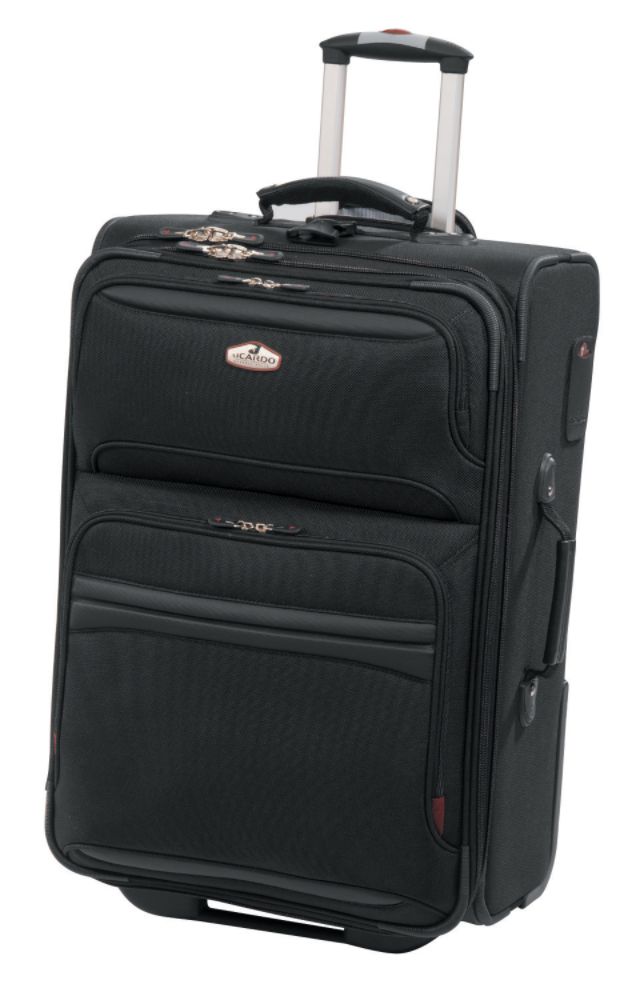 Ricardo of Beverly Hills 21 in. WheelAboard, Black