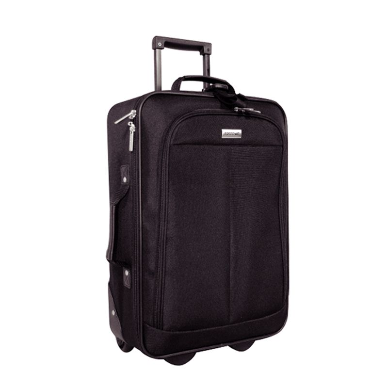 Forecast 20 in. Pilot Case