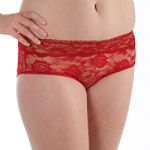 Enchanting Plus Lace Hipster