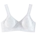 Click here to buy Enchanting Softcup Cotton Eyelet Bra.