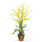 Nearly Natural Dancing Lady Silk Orchid Arrangement w/Moss Pot