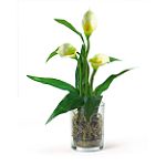 Nearly Natural Calla Lilly w/Vase Silk Arrangement
