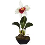 Nearly Natural Cattleya w/ Classic Black Vase