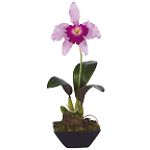 Nearly Natural Cattleya w/ Classic Black Vase