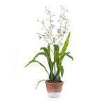 Nearly Natural Dancing Lady w/White Wash Pot