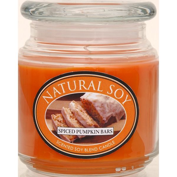 Hanna's Candles Natural Soy Scented Soy Candle Spiced Pumpkin Bars