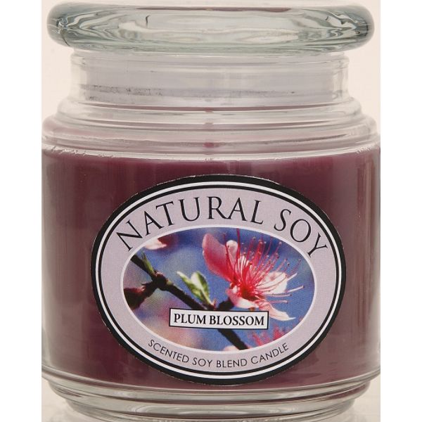 Hanna's Candles Natural Soy Scented Soy Candle Plum Blossom